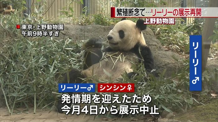 ジャイアントパンダの展示再開 上野動物園