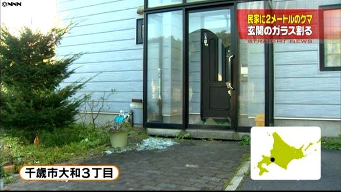 クマが民家に、玄関のガラス割る 北海道