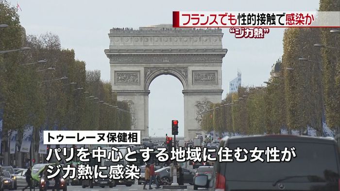 フランスでも性的接触でジカ熱感染か