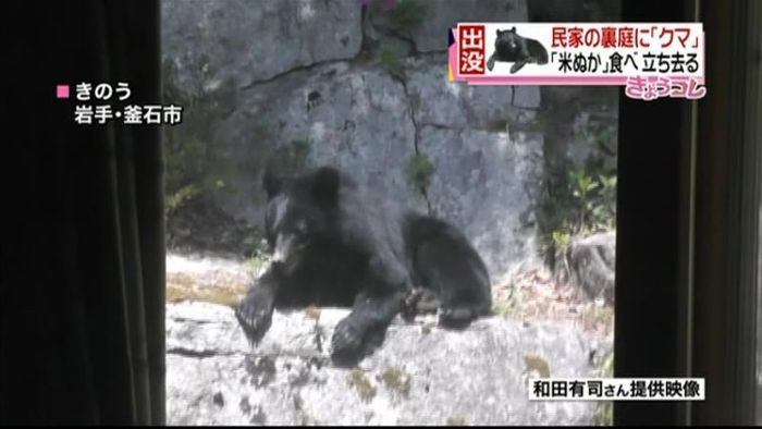 民家に「クマ」出没、注意呼びかけ 釜石市