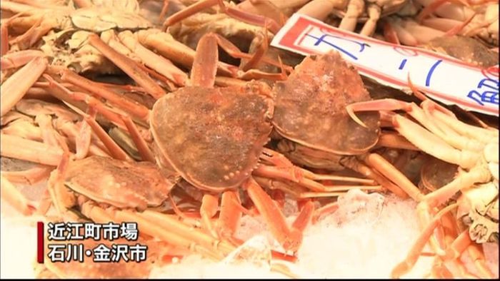 カニ漁解禁! 初物が店頭に並ぶ 金沢市