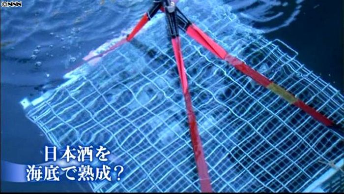 きれいな海をゆりかごに…日本酒を海底熟成