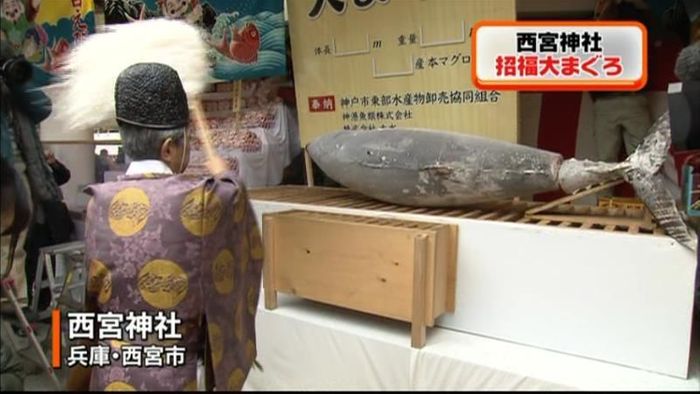 金運アップ? 縁起マグロに硬貨ペタペタ…