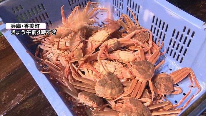 平成最後の“おせち”救う?ズワイガニ豊漁