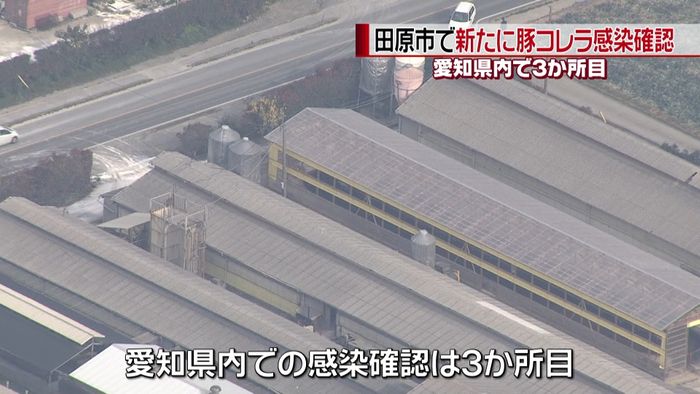 養豚場で新たに豚コレラ感染 愛知3か所目