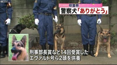 ありがとう 警視庁が警察犬慰霊祭 ありがとう 警視庁が警察犬慰霊祭
