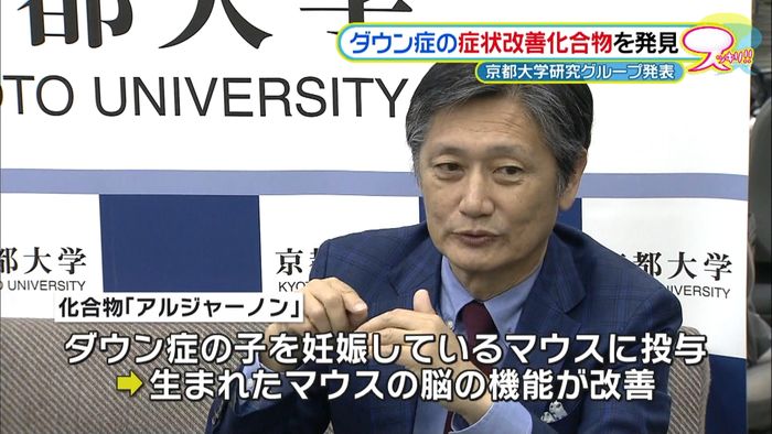 「ダウン症」症状改善の化合物発見~京大G
