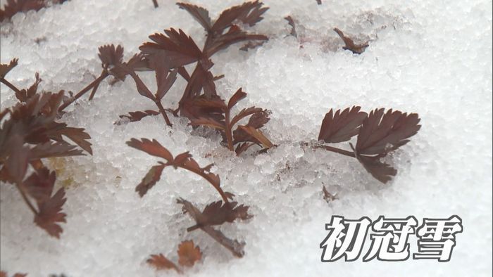 冬の便り　北海道・旭岳で「初冠雪」観測