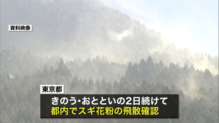 都内でスギ花粉早飛散 予想は例年の約6割
