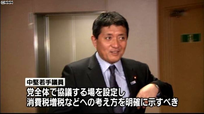 消費税などで全党協議を~自民中堅ら要請