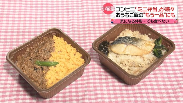 コロナ太り でも食べたい ミニ弁当 人気