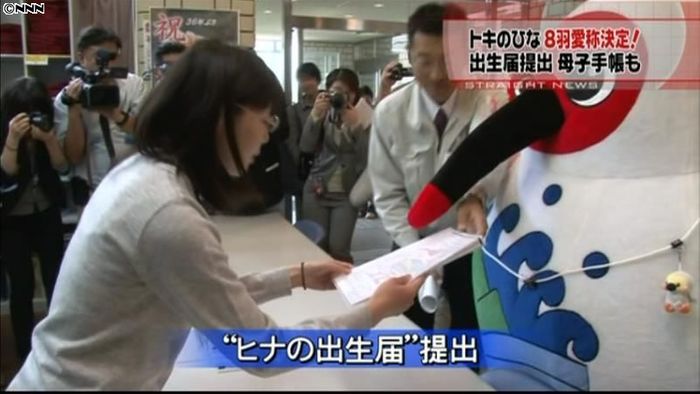 トキのヒナ8羽の愛称決定、出生届を提出