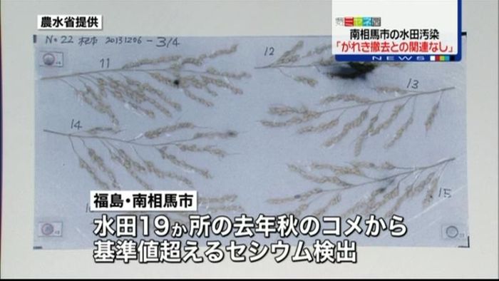 南相馬市コメ汚染「がれき撤去と関連なし」