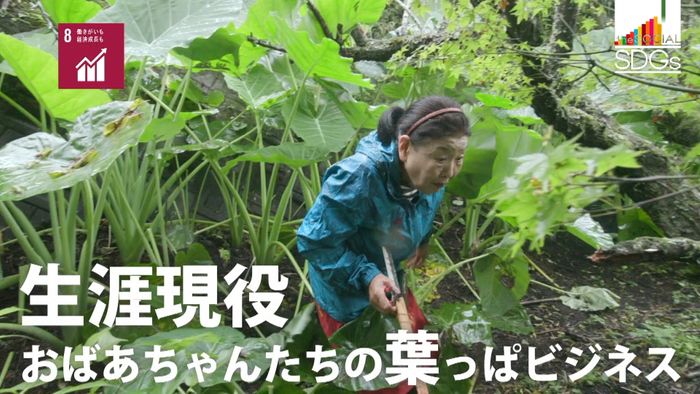 生涯現役 おばあちゃん達の葉っぱビジネス