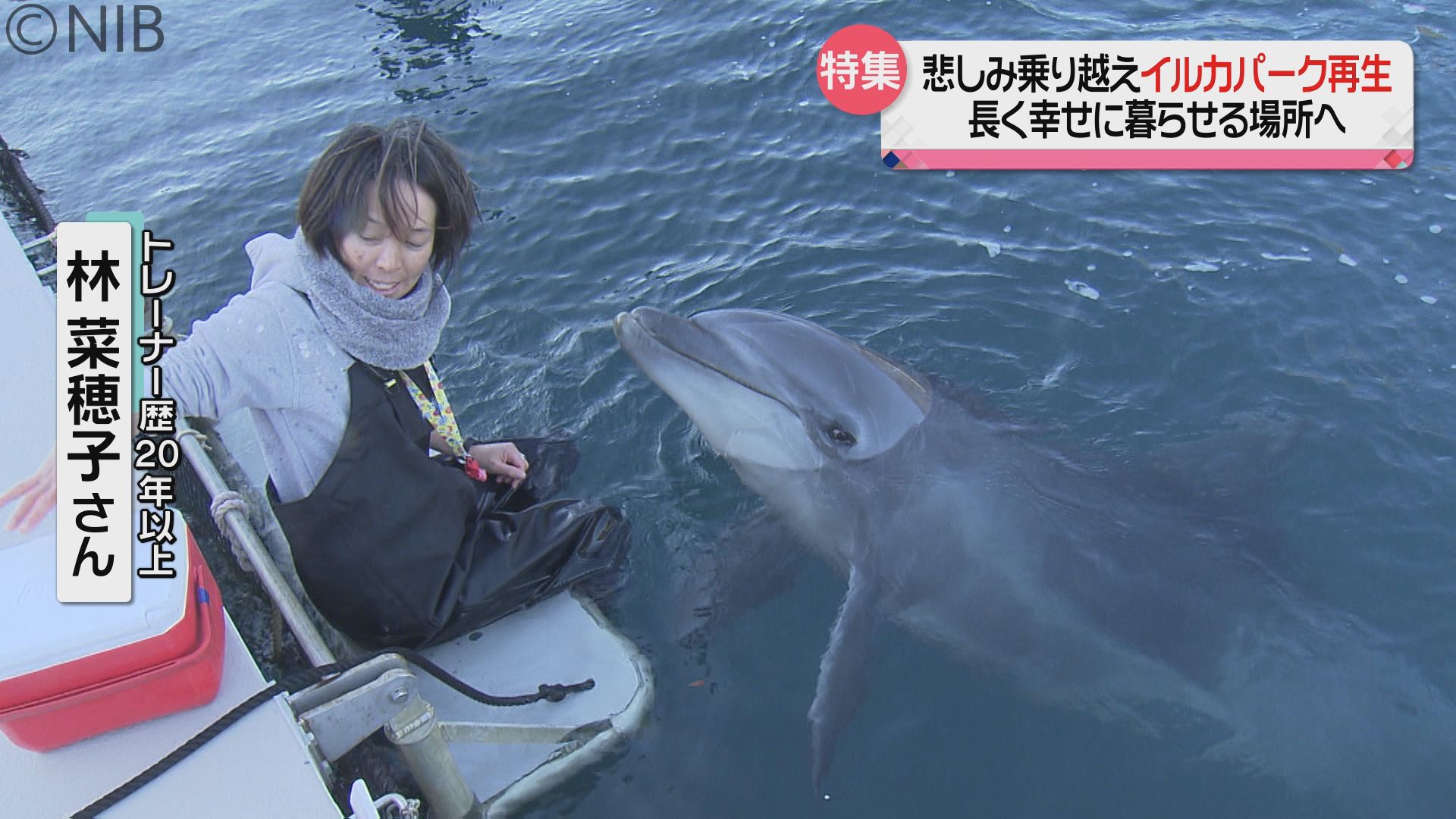 3ページ目 悲しみ乗り越え再生の道へ「イルカが長く幸せに暮らせる場所