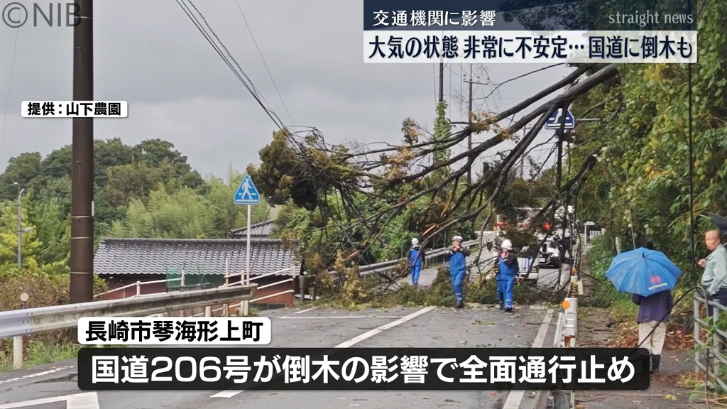 県内大気の状態非常に不安定「強い雨と風で国道に倒木も」交通機関も海