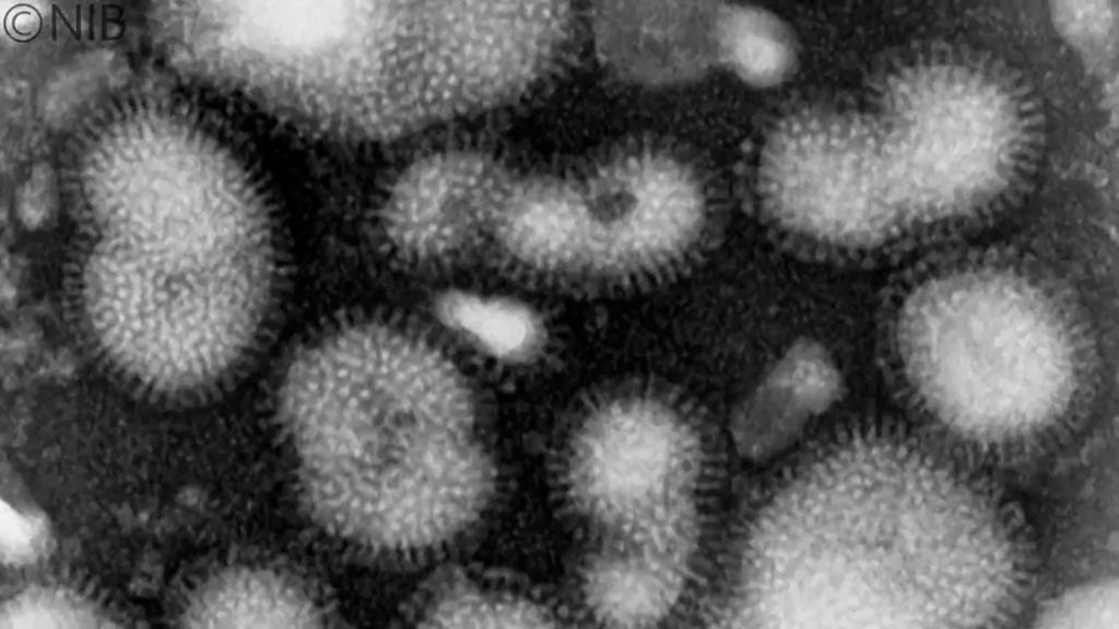 インフルエンザ再び増加 3週連続警報レベルに　10代と10歳未満が全体の約8割《長崎》　