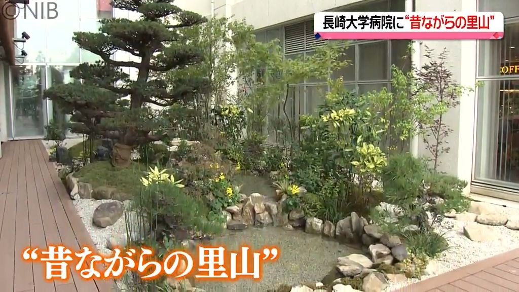 長崎大学病院に５か所の“院内ガーデン”完成　世界的庭園デザイナー手がける《長崎》