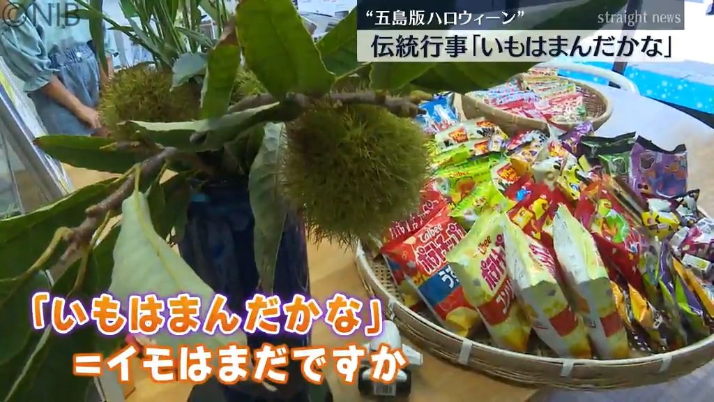 中秋の名月に子どもたちがお菓子をおねだり「いもはまんだかな」五島市富江町の伝統行事《長崎》