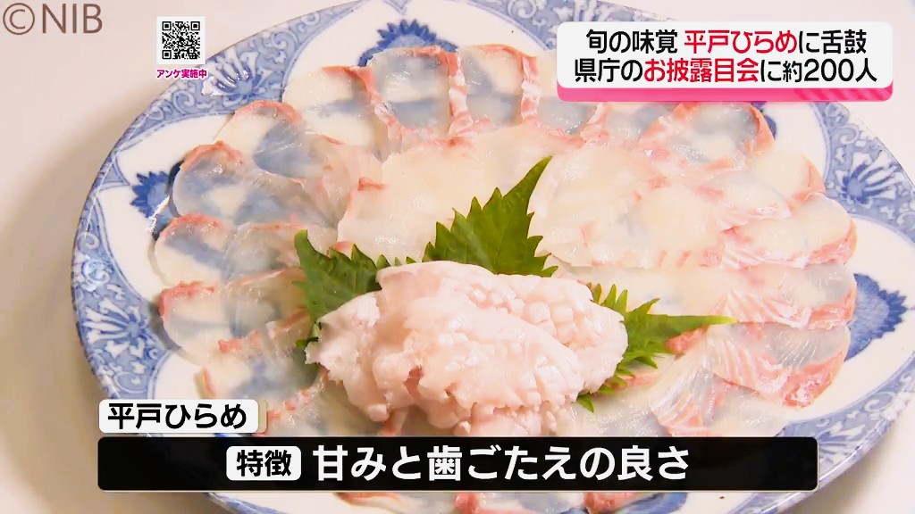 200人が肉厚の刺身に舌鼓 “平戸ひらめ”のお披露目会 甘みが強く身の