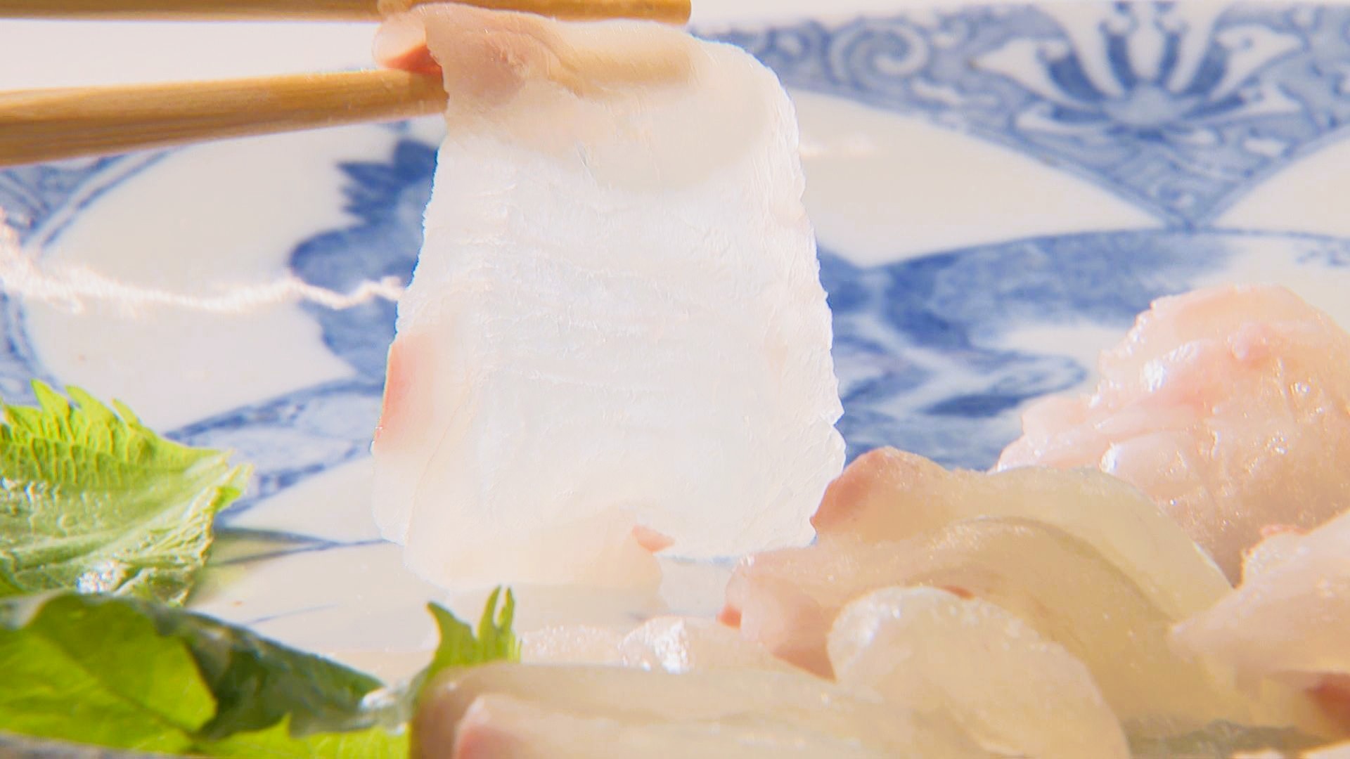 200人が肉厚の刺身に舌鼓 “平戸ひらめ”のお披露目会 甘みが強く身の