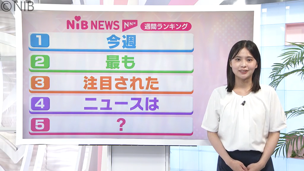 CGIL news bulletin 第3号から28号まで(欠あり) この1週間注目された話題は？「県内のニュースランキング 5月15日(金