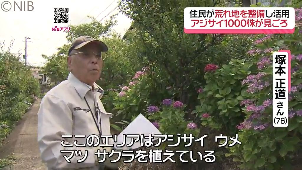 地元住民が荒れた“のり面”を整備「のり面を守る会」 景観美化と災害対策につなげる取り組み《長崎》(2025年6月18日掲載)|NIB NEWS NNN