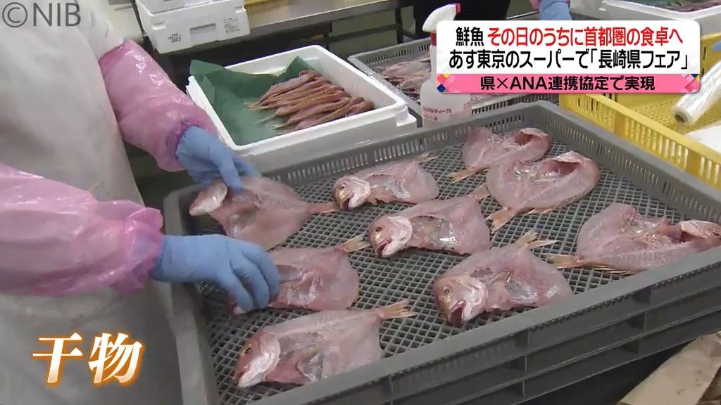 「長崎の鮮魚をその日のうちに首都圏の食卓へ」県とANAが連携 東京で長崎県フェア《長崎》
