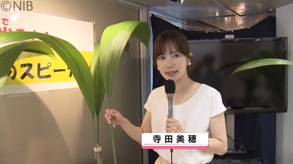 葉っぱから音が出る“植物スピーカー”など展示も「自然環境を考える企画展」長崎市で開催《長崎》