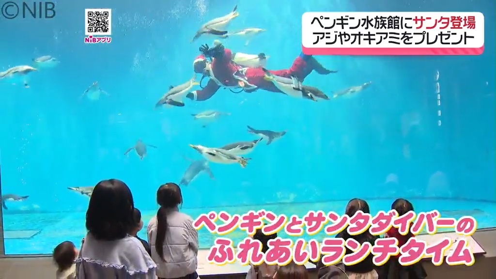 水族館の水槽にサンタが登場『ペンギンとサンタダイバーのふれあい