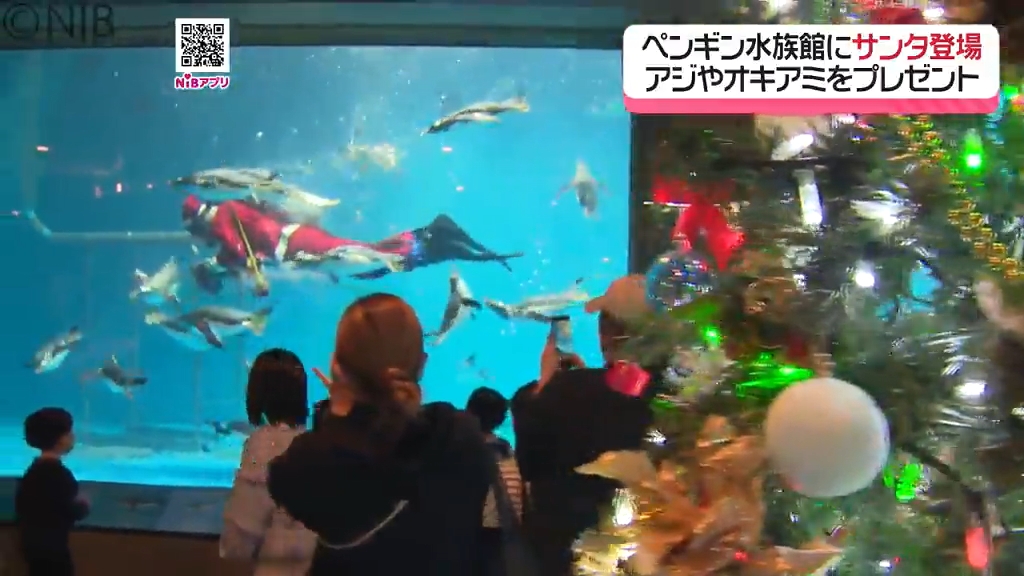 水族館の水槽にサンタが登場『ペンギンとサンタダイバーのふれあい