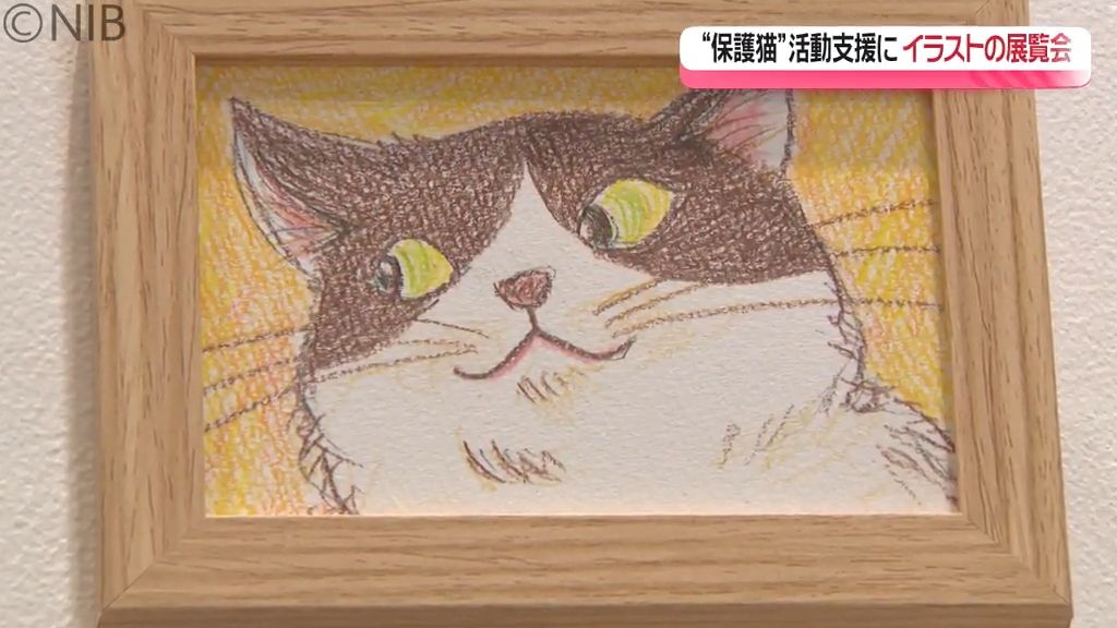 色鉛筆でやさしく描いているのは “保護猫”　ナガサキピースミュージアムで保護猫イラスト展覧会《長崎》