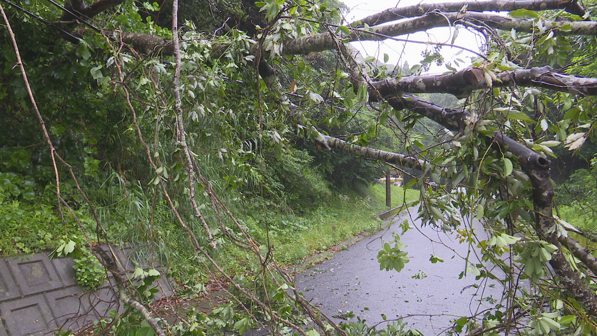 雨上がり サイクロン被害のスリランカ 危険地に住宅、社会構造に課題も
