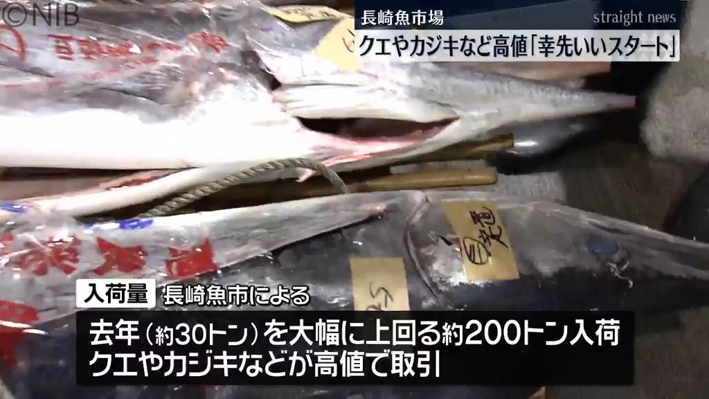 クエやカジキなどが高値で取引　カツオやブリなど魚種250以上並ぶ　長崎魚市場で初競り《長崎》