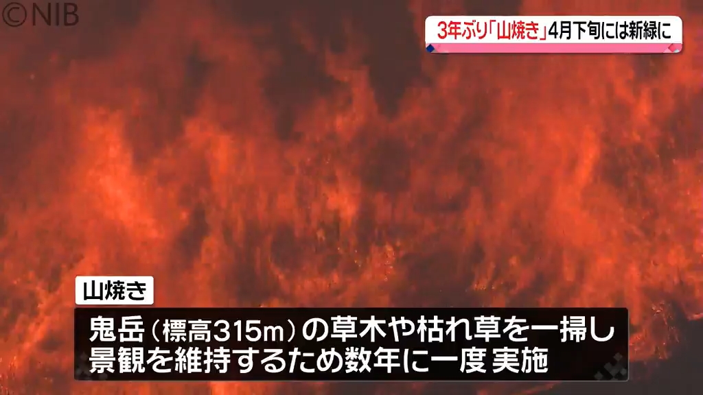 片山園芸 M 25キロ　5月5日 Ninja ZX-25RRは「旅も楽しめる」250ccスーパースポーツだった！ 高速