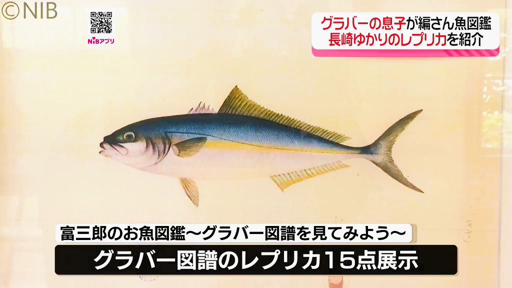 グラバーの息子が編さん「企画展 富三郎のお魚図鑑」グラバー図譜の