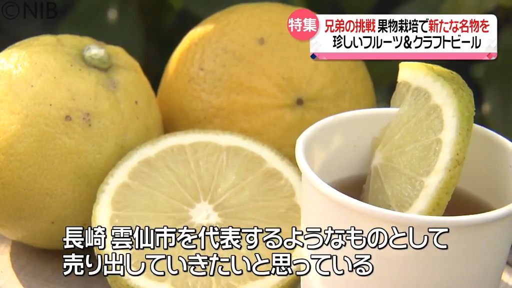 希少なベルガモット栽培で故郷に新たな名産を 雲仙市の兄弟がフルーツ＆クラフトビールに挑戦《長崎》