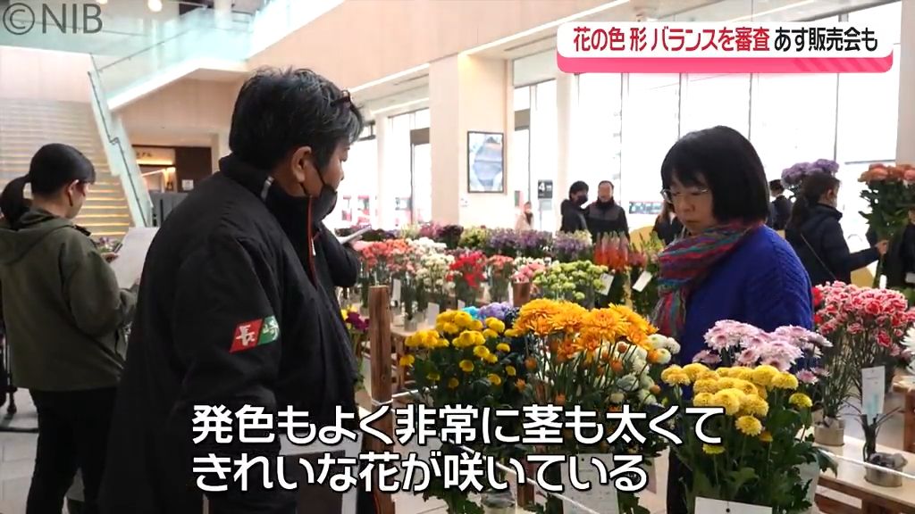 県内の生産者が丹精込めて栽培「県花き品評会」高品質で発色もいい約300点の花が勢ぞろい《長崎》