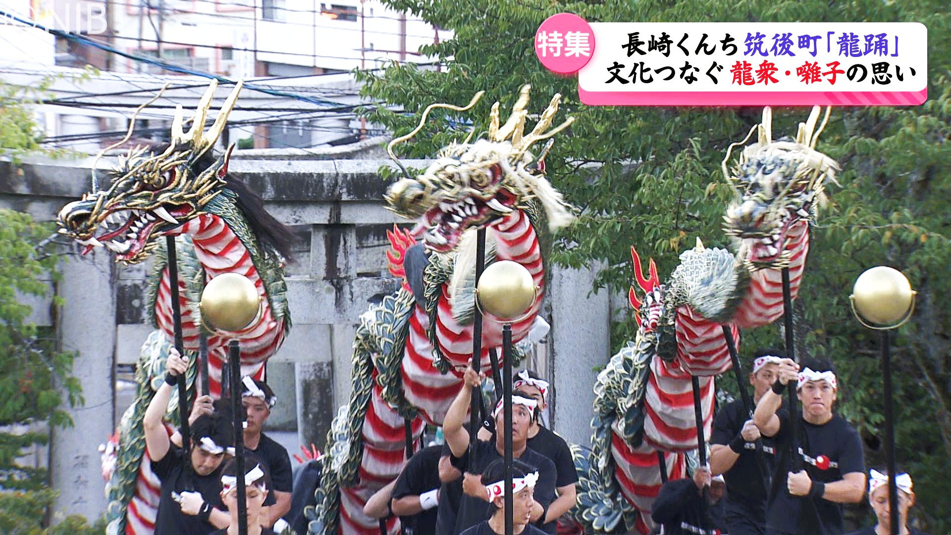 長崎くんち】3頭の龍がシンクロ「筑後町 龍踊」インスタグラムで情報