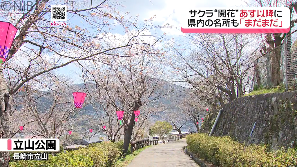 最高気温20℃超えも「サクラの開花発表は24日以降に」標本木や県内のお