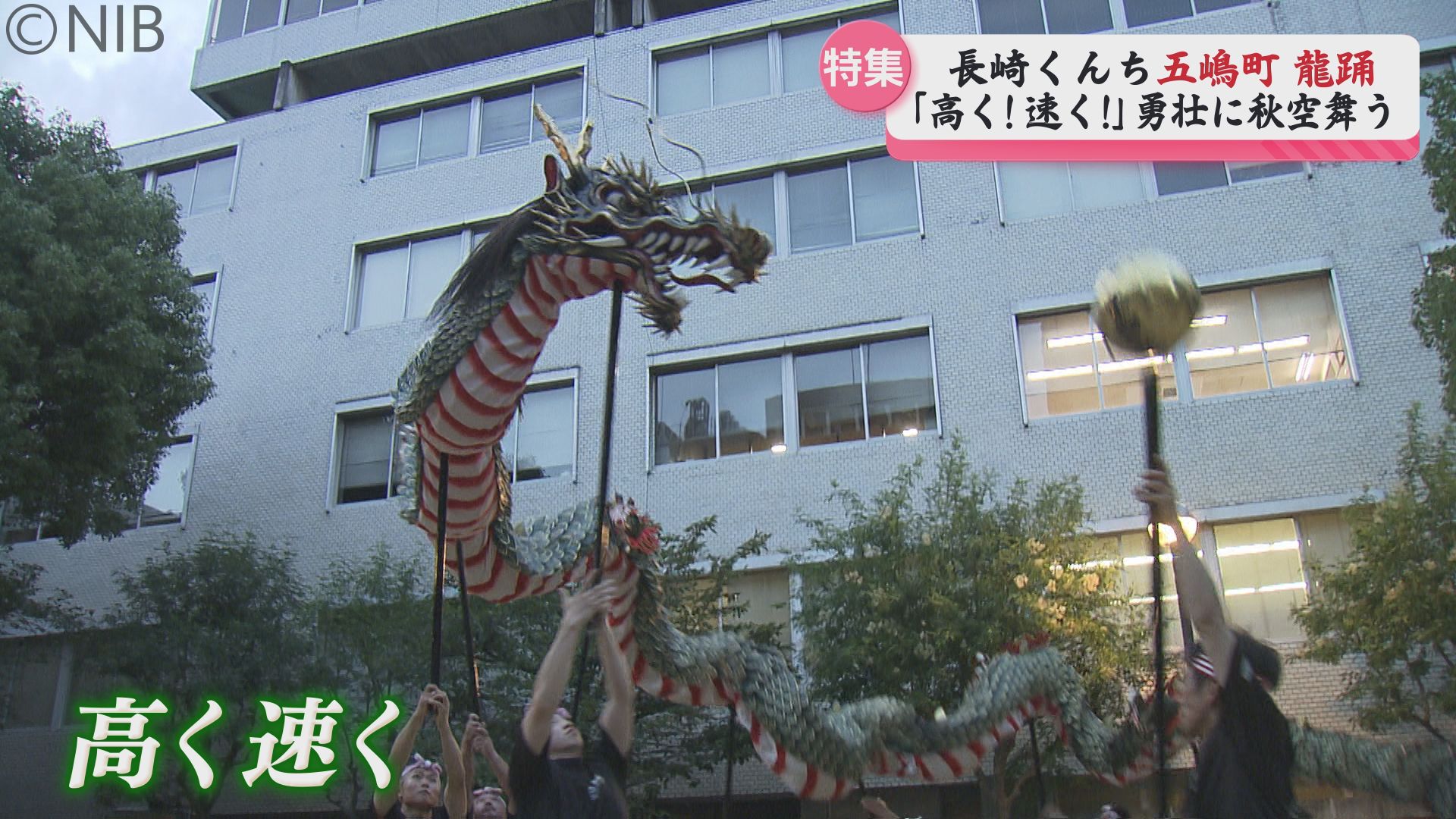 長崎くんち【五嶋町・龍踊】高く速く勇壮に！ 目指すは辰年に