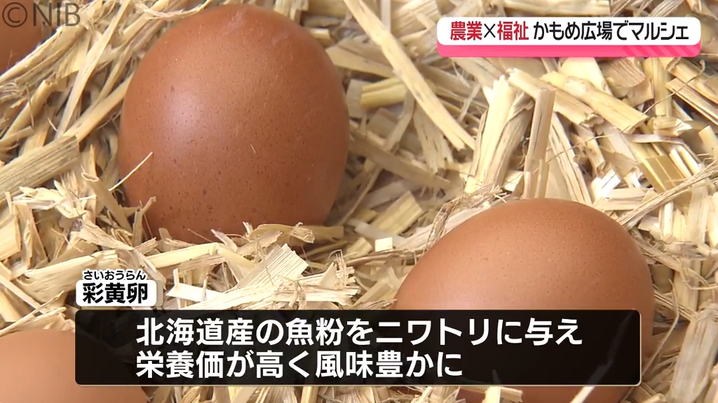 1袋500円の野菜詰め放題も6日まで開催「農福連携マルシェ」障害ある人