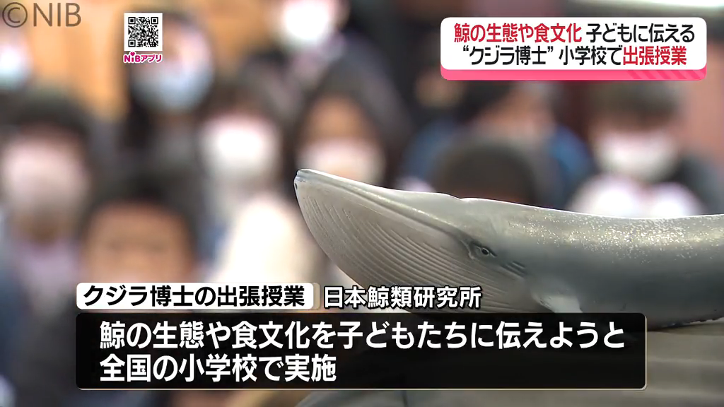 鯨の生態や食文化を小学生が学ぶ「クジラ博士 出張授業」長崎とゆかり