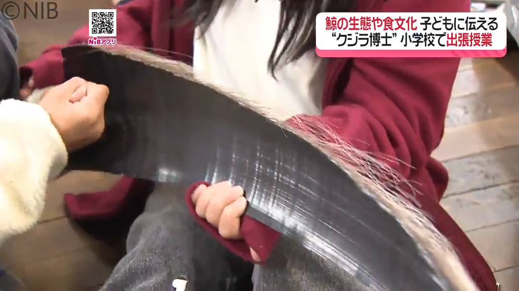 鯨の生態や食文化を小学生が学ぶ「クジラ博士 出張授業」長崎とゆかり
