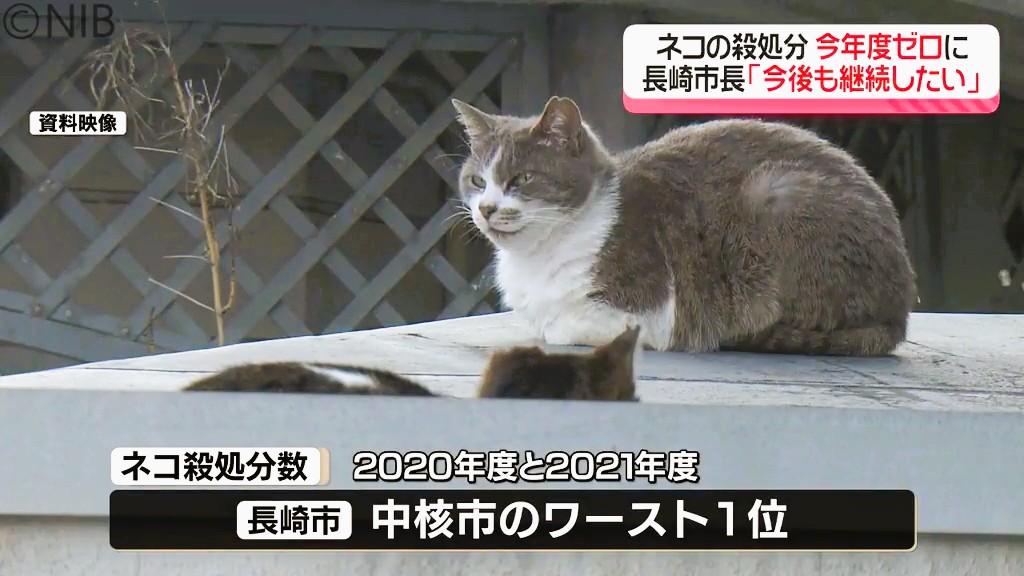 ネコの殺処分が今年度はゼロに “中核市のワースト1位”からの脱却 その