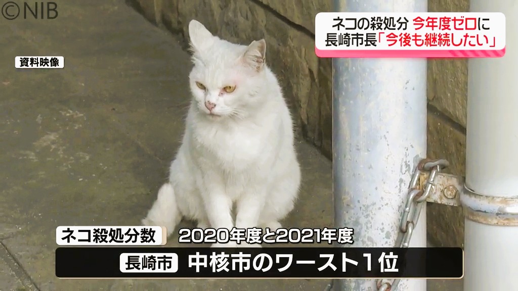 ネコの殺処分が今年度はゼロに “中核市のワースト1位”からの脱却 その