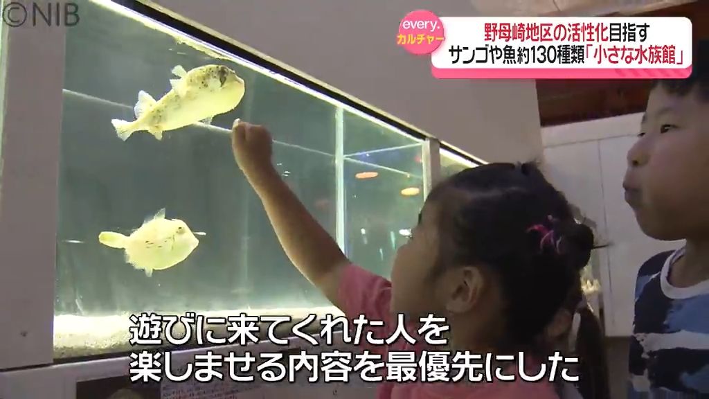 カラフルサンゴやコミカルに動く魚も！「のもざき小さな水族館」館長が目指すのは地域活性化《長崎》