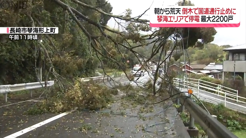 朝から荒天「倒木で国道通行止め」琴海エリアで停電2200戸 27日も海上