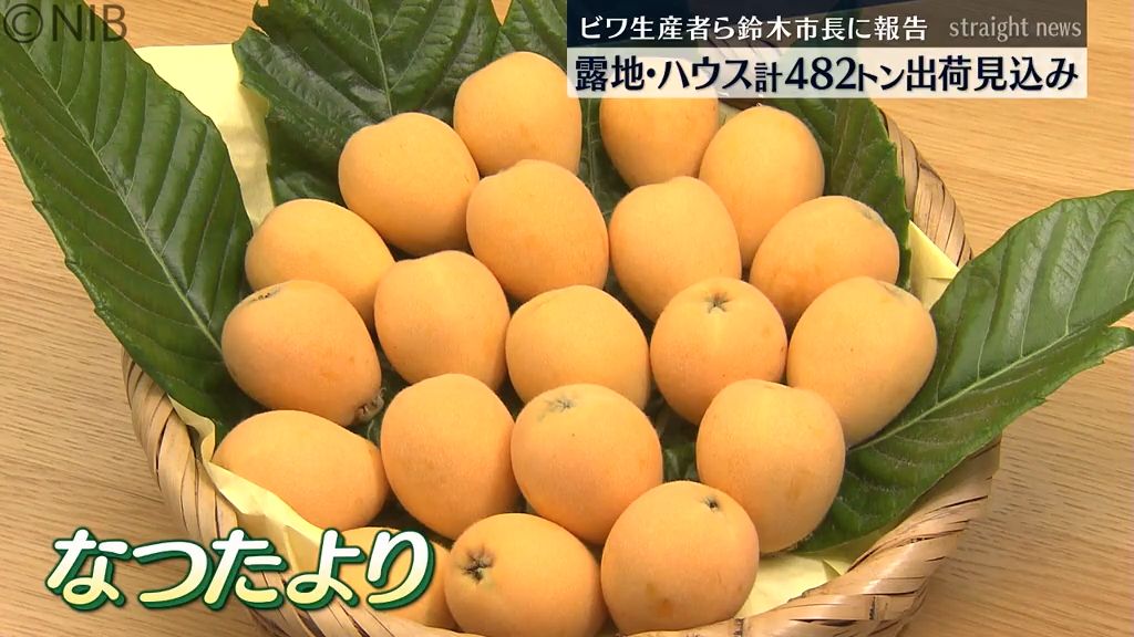 糖度は12度以上 ビワ生産状況を報告 冬の低温の影響で出荷に遅れも平年並み482トン見込み《長崎》