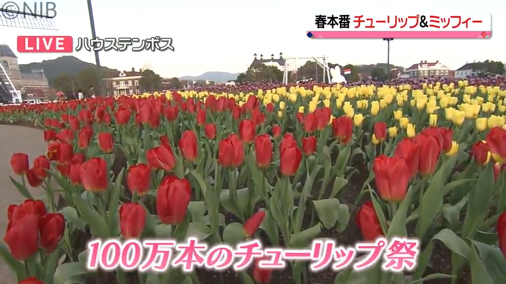 中継】春らんまん 花の街で100万本のチューリップとミッフィーセレブ